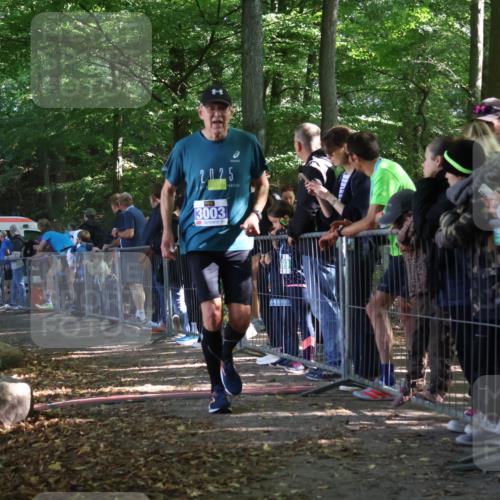 28.09.2025 - 33. Volkslauf durch das schöne Alstertal Strokosch-Dieckow http://msf.ph/oto/8967626 28.09.2025 11:44:18 Ziel 1604, 3003 meine-sportfotos.de