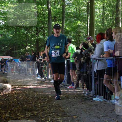 28.09.2025 - 33. Volkslauf durch das schöne Alstertal Strokosch-Dieckow http://msf.ph/oto/8967628 28.09.2025 11:44:18 Ziel 1604, 3003 meine-sportfotos.de