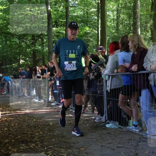 28.09.2025 - 33. Volkslauf durch das schöne Alstertal Strokosch-Dieckow http://msf.ph/oto/8967629 28.09.2025 11:44:19 Ziel 1604, 3003, 3104 meine-sportfotos.de