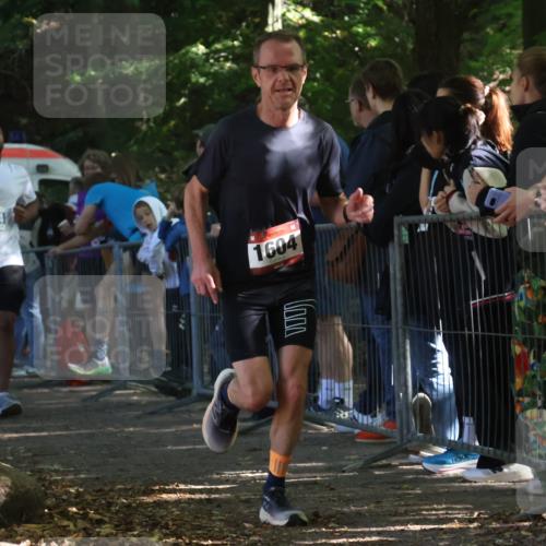 28.09.2025 - 33. Volkslauf durch das schöne Alstertal Strokosch-Dieckow http://msf.ph/oto/8967630 28.09.2025 11:44:22 Ziel 1577, 1604, 3104 meine-sportfotos.de