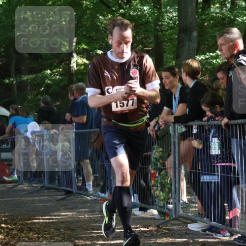 28.09.2025 - 33. Volkslauf durch das schöne Alstertal Strokosch-Dieckow http://msf.ph/oto/8967643 28.09.2025 11:44:30 Ziel 1577 meine-sportfotos.de