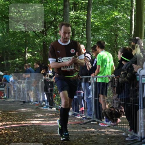 28.09.2025 - 33. Volkslauf durch das schöne Alstertal Strokosch-Dieckow http://msf.ph/oto/8967645 28.09.2025 11:44:31 Ziel 1569, 1577 meine-sportfotos.de