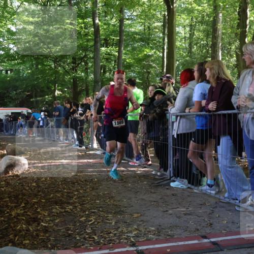 28.09.2025 - 33. Volkslauf durch das schöne Alstertal Strokosch-Dieckow http://msf.ph/oto/8967652 28.09.2025 11:44:40 Ziel 1569, 2408 meine-sportfotos.de