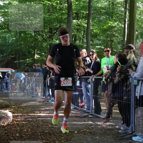 28.09.2025 - 33. Volkslauf durch das schöne Alstertal Strokosch-Dieckow http://msf.ph/oto/8967657 28.09.2025 11:44:47 Ziel 1533, 2408 meine-sportfotos.de