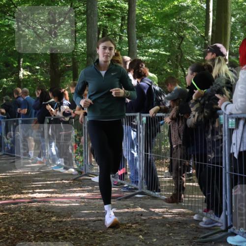 28.09.2025 - 33. Volkslauf durch das schöne Alstertal Strokosch-Dieckow http://msf.ph/oto/8967661 28.09.2025 11:44:51 Ziel 1533, 1576, 3126, 3276, 3370 meine-sportfotos.de