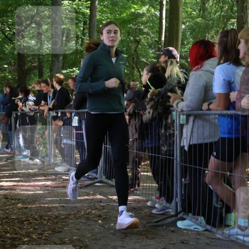 28.09.2025 - 33. Volkslauf durch das schöne Alstertal Strokosch-Dieckow http://msf.ph/oto/8967662 28.09.2025 11:44:51 Ziel 1533, 1576, 3126, 3276, 3370 meine-sportfotos.de
