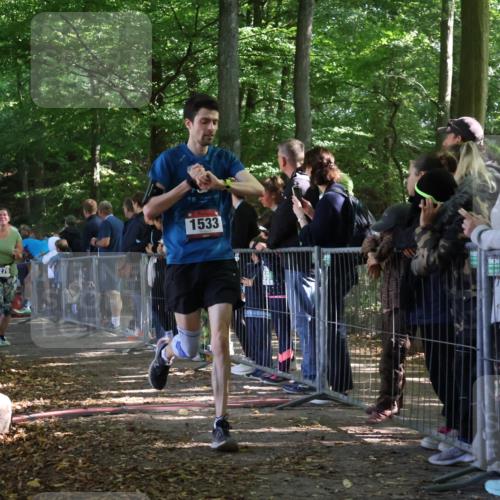 28.09.2025 - 33. Volkslauf durch das schöne Alstertal Strokosch-Dieckow http://msf.ph/oto/8967664 28.09.2025 11:44:54 Ziel 1533, 1576, 3126, 3276, 3370 meine-sportfotos.de