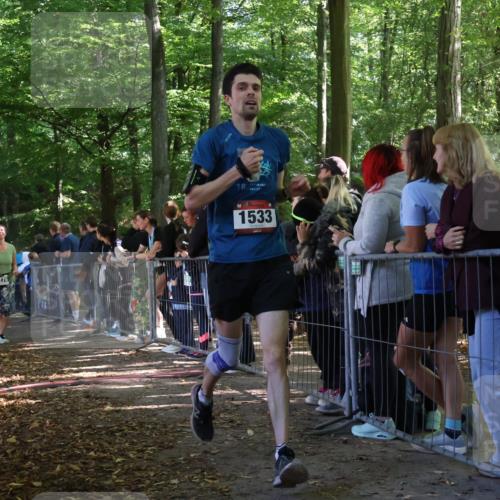 28.09.2025 - 33. Volkslauf durch das schöne Alstertal Strokosch-Dieckow http://msf.ph/oto/8967665 28.09.2025 11:44:54 Ziel 1533, 1576, 3126, 3276, 3370 meine-sportfotos.de