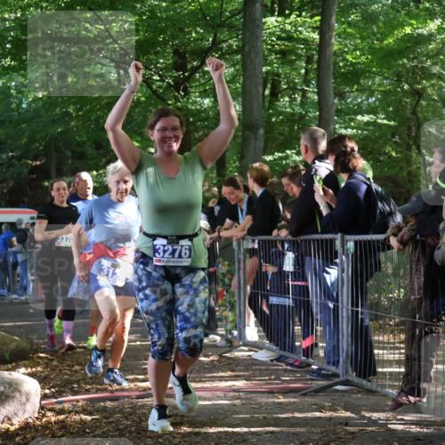 28.09.2025 - 33. Volkslauf durch das schöne Alstertal Strokosch-Dieckow http://msf.ph/oto/8967668 28.09.2025 11:44:57 Ziel 1576, 1586, 3126, 3276, 3370 meine-sportfotos.de