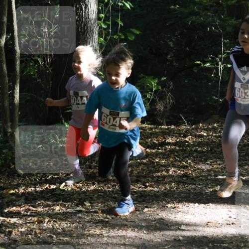 28.09.2025 - 33. Volkslauf durch das schöne Alstertal Strokosch-Dieckow http://msf.ph/oto/8967681 28.09.2025 10:41:29 Laufen 6044, 604, 6032, 695 meine-sportfotos.de