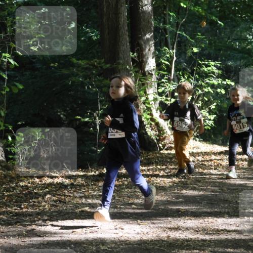 28.09.2025 - 33. Volkslauf durch das schöne Alstertal Strokosch-Dieckow http://msf.ph/oto/8967688 28.09.2025 10:41:40 Laufen 6025, 6962, 6015 meine-sportfotos.de