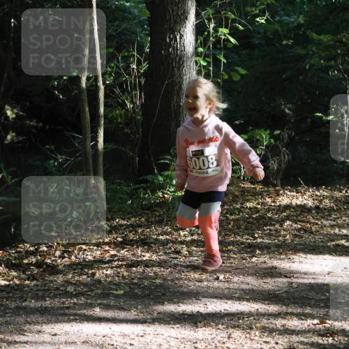 28.09.2025 - 33. Volkslauf durch das schöne Alstertal Strokosch-Dieckow http://msf.ph/oto/8967696 28.09.2025 10:41:44 Laufen 6008 meine-sportfotos.de