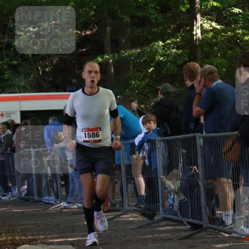 28.09.2025 - 33. Volkslauf durch das schöne Alstertal Strokosch-Dieckow http://msf.ph/oto/8967697 28.09.2025 11:45:03 Ziel 1586 meine-sportfotos.de