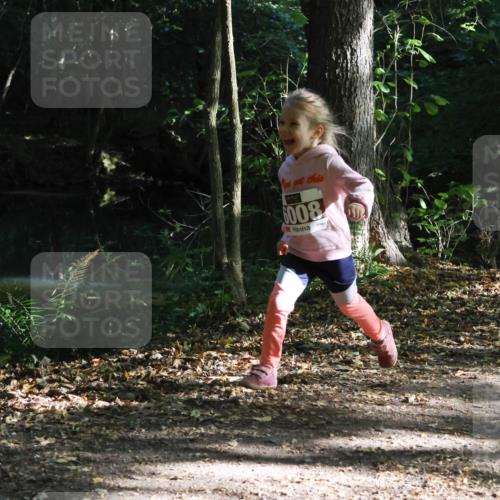 28.09.2025 - 33. Volkslauf durch das schöne Alstertal Strokosch-Dieckow http://msf.ph/oto/8967699 28.09.2025 10:41:44 Laufen 6008 meine-sportfotos.de