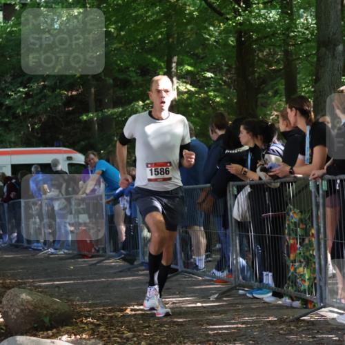 28.09.2025 - 33. Volkslauf durch das schöne Alstertal Strokosch-Dieckow http://msf.ph/oto/8967700 28.09.2025 11:45:04 Ziel 1586 meine-sportfotos.de