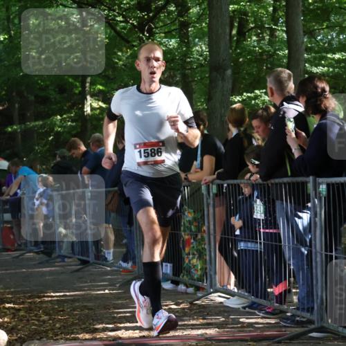 28.09.2025 - 33. Volkslauf durch das schöne Alstertal Strokosch-Dieckow http://msf.ph/oto/8967703 28.09.2025 11:45:05 Ziel 1586 meine-sportfotos.de