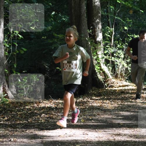 28.09.2025 - 33. Volkslauf durch das schöne Alstertal Strokosch-Dieckow http://msf.ph/oto/8967704 28.09.2025 10:41:47 Laufen 6036, 6009 meine-sportfotos.de