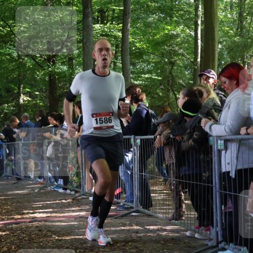 28.09.2025 - 33. Volkslauf durch das schöne Alstertal Strokosch-Dieckow http://msf.ph/oto/8967707 28.09.2025 11:45:05 Ziel 1586 meine-sportfotos.de
