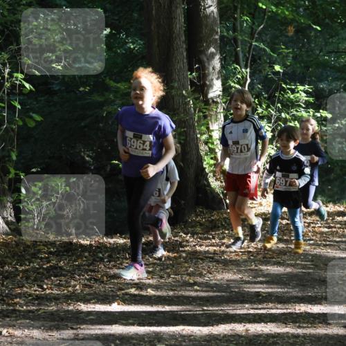 28.09.2025 - 33. Volkslauf durch das schöne Alstertal Strokosch-Dieckow http://msf.ph/oto/8967708 28.09.2025 10:41:50 Laufen 6964, 6970, 697, 6953, 604 meine-sportfotos.de