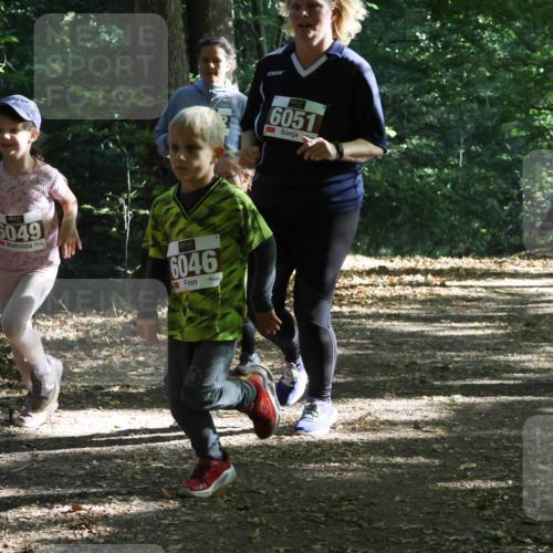 28.09.2025 - 33. Volkslauf durch das schöne Alstertal Strokosch-Dieckow http://msf.ph/oto/8967719 28.09.2025 10:41:53 Laufen 53, 6049, 6046, 6051, 6024 meine-sportfotos.de