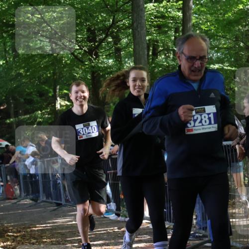 28.09.2025 - 33. Volkslauf durch das schöne Alstertal Strokosch-Dieckow http://msf.ph/oto/8967736 28.09.2025 11:45:23 Ziel 3040, 3087, 3281, 3289 meine-sportfotos.de