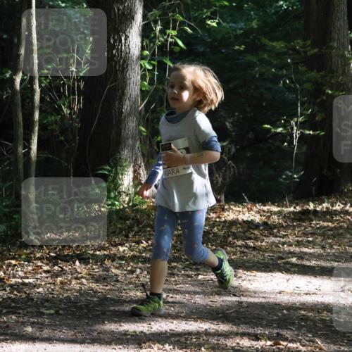 28.09.2025 - 33. Volkslauf durch das schöne Alstertal Strokosch-Dieckow http://msf.ph/oto/8967746 28.09.2025 10:42:05 Laufen  meine-sportfotos.de