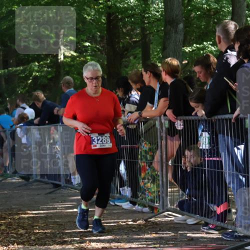 28.09.2025 - 33. Volkslauf durch das schöne Alstertal Strokosch-Dieckow http://msf.ph/oto/8967756 28.09.2025 11:45:30 Ziel 3289 meine-sportfotos.de