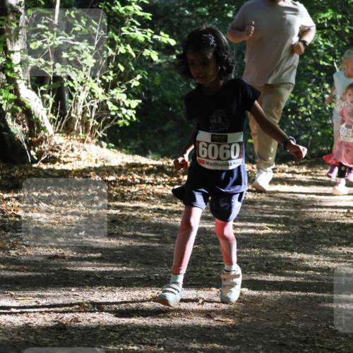 28.09.2025 - 33. Volkslauf durch das schöne Alstertal Strokosch-Dieckow http://msf.ph/oto/8967762 28.09.2025 10:42:20 Laufen 6060, 6956, 6007 meine-sportfotos.de