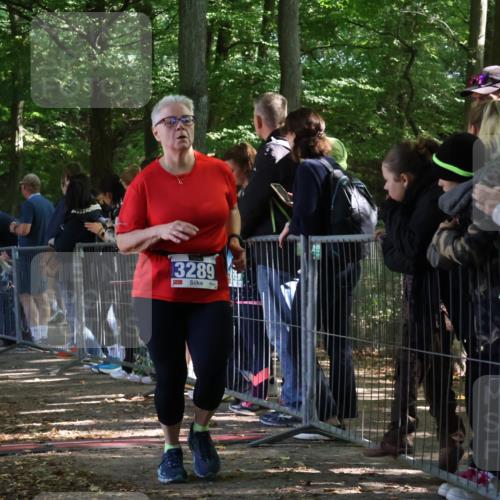 28.09.2025 - 33. Volkslauf durch das schöne Alstertal Strokosch-Dieckow http://msf.ph/oto/8967764 28.09.2025 11:45:31 Ziel 3289 meine-sportfotos.de