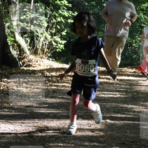 28.09.2025 - 33. Volkslauf durch das schöne Alstertal Strokosch-Dieckow http://msf.ph/oto/8967765 28.09.2025 10:42:20 Laufen 6060, 6956 meine-sportfotos.de