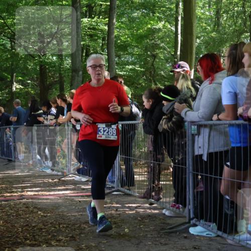 28.09.2025 - 33. Volkslauf durch das schöne Alstertal Strokosch-Dieckow http://msf.ph/oto/8967768 28.09.2025 11:45:31 Ziel 3289 meine-sportfotos.de