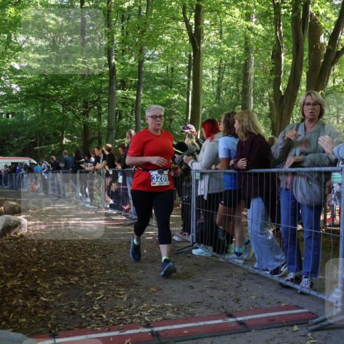 28.09.2025 - 33. Volkslauf durch das schöne Alstertal Strokosch-Dieckow http://msf.ph/oto/8967772 28.09.2025 11:45:32 Ziel 3289 meine-sportfotos.de