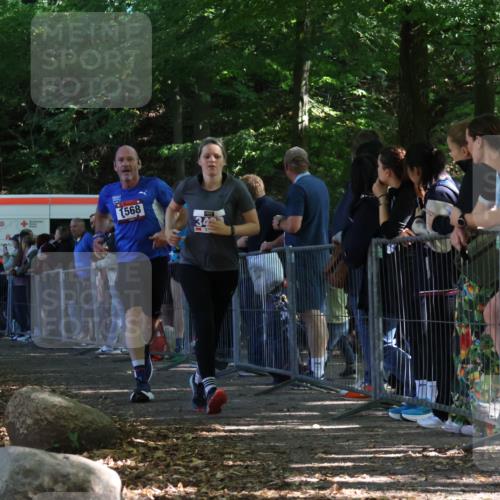 28.09.2025 - 33. Volkslauf durch das schöne Alstertal Strokosch-Dieckow http://msf.ph/oto/8967776 28.09.2025 11:45:41 Ziel 1568, 3420 meine-sportfotos.de