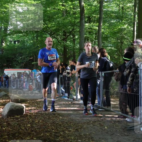 28.09.2025 - 33. Volkslauf durch das schöne Alstertal Strokosch-Dieckow http://msf.ph/oto/8967794 28.09.2025 11:45:43 Ziel 1568, 3420 meine-sportfotos.de