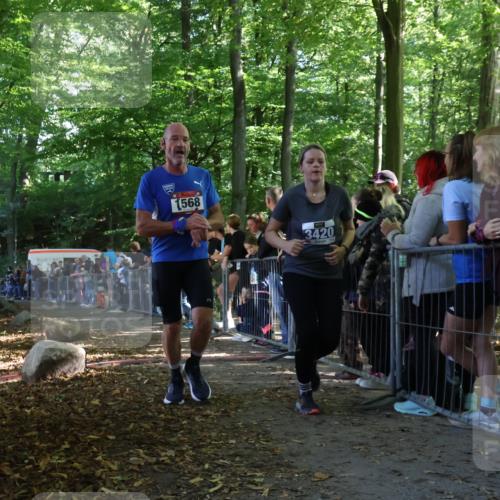 28.09.2025 - 33. Volkslauf durch das schöne Alstertal Strokosch-Dieckow http://msf.ph/oto/8967802 28.09.2025 11:45:44 Ziel 1568, 1574, 3420 meine-sportfotos.de