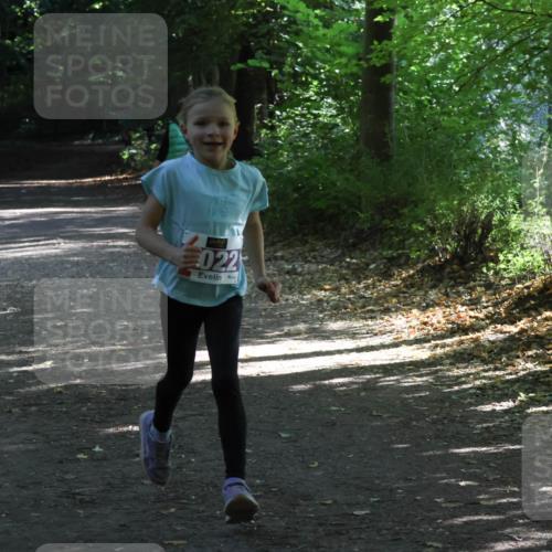 28.09.2025 - 33. Volkslauf durch das schöne Alstertal Strokosch-Dieckow http://msf.ph/oto/8967805 28.09.2025 10:44:14 Laufen 022 meine-sportfotos.de
