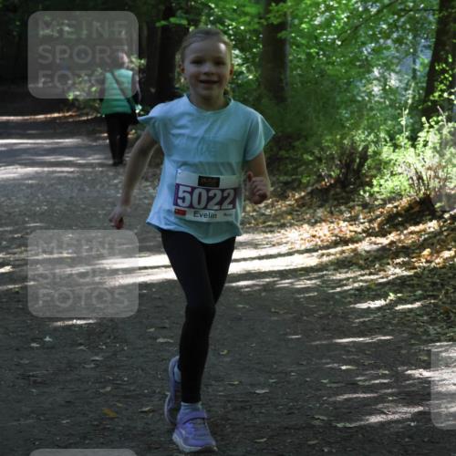 28.09.2025 - 33. Volkslauf durch das schöne Alstertal Strokosch-Dieckow http://msf.ph/oto/8967811 28.09.2025 10:44:14 Laufen 5022 meine-sportfotos.de