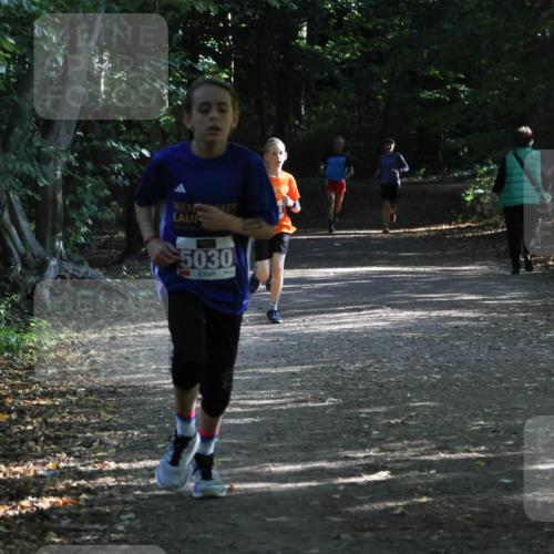 28.09.2025 - 33. Volkslauf durch das schöne Alstertal Strokosch-Dieckow http://msf.ph/oto/8967816 28.09.2025 10:44:21 Laufen 5030 meine-sportfotos.de