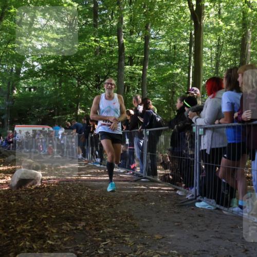 28.09.2025 - 33. Volkslauf durch das schöne Alstertal Strokosch-Dieckow http://msf.ph/oto/8967817 28.09.2025 11:45:53 Ziel 1572, 1574, 3073 meine-sportfotos.de