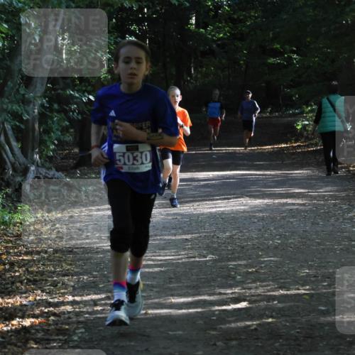 28.09.2025 - 33. Volkslauf durch das schöne Alstertal Strokosch-Dieckow http://msf.ph/oto/8967818 28.09.2025 10:44:21 Laufen 5030 meine-sportfotos.de
