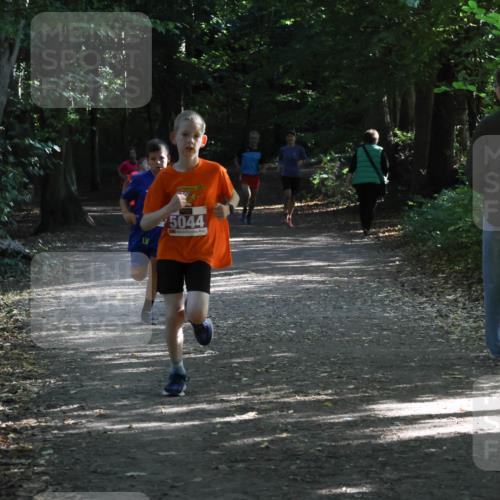 28.09.2025 - 33. Volkslauf durch das schöne Alstertal Strokosch-Dieckow http://msf.ph/oto/8967819 28.09.2025 10:44:24 Laufen 5044 meine-sportfotos.de
