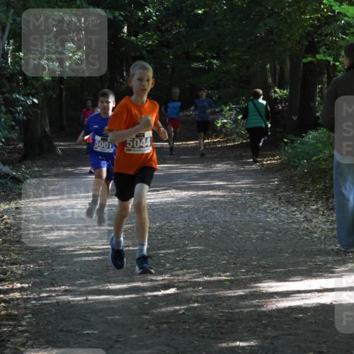 28.09.2025 - 33. Volkslauf durch das schöne Alstertal Strokosch-Dieckow http://msf.ph/oto/8967822 28.09.2025 10:44:24 Laufen 500, 5044 meine-sportfotos.de
