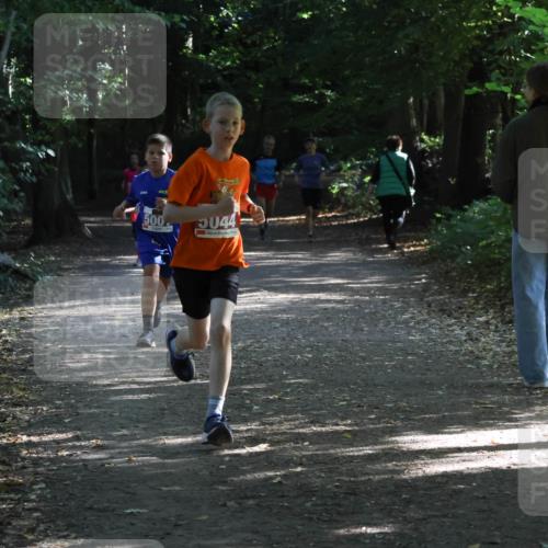 28.09.2025 - 33. Volkslauf durch das schöne Alstertal Strokosch-Dieckow http://msf.ph/oto/8967823 28.09.2025 10:44:24 Laufen 500, 5044 meine-sportfotos.de