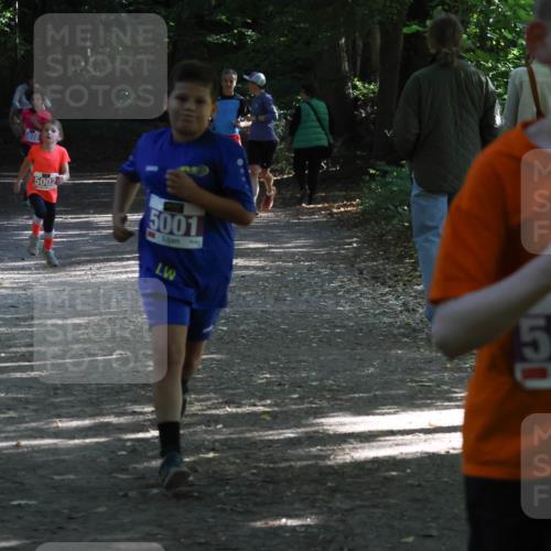 28.09.2025 - 33. Volkslauf durch das schöne Alstertal Strokosch-Dieckow http://msf.ph/oto/8967826 28.09.2025 10:44:26 Laufen 5039, 5002, 5001, 5044 meine-sportfotos.de