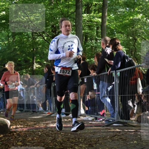 28.09.2025 - 33. Volkslauf durch das schöne Alstertal Strokosch-Dieckow http://msf.ph/oto/8967832 28.09.2025 11:46:00 Ziel 1564, 1572, 1578, 1589, 1601, 3073 meine-sportfotos.de
