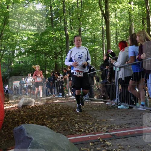 28.09.2025 - 33. Volkslauf durch das schöne Alstertal Strokosch-Dieckow http://msf.ph/oto/8967837 28.09.2025 11:46:00 Ziel 1564, 1572, 1578, 1589, 1601, 3073 meine-sportfotos.de