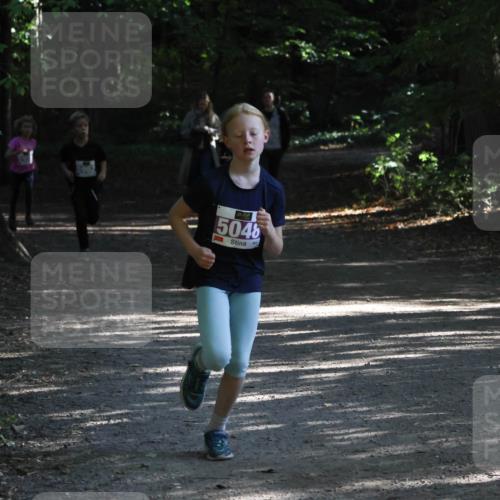 28.09.2025 - 33. Volkslauf durch das schöne Alstertal Strokosch-Dieckow http://msf.ph/oto/8967839 28.09.2025 10:44:52 Laufen 5962, 5048 meine-sportfotos.de