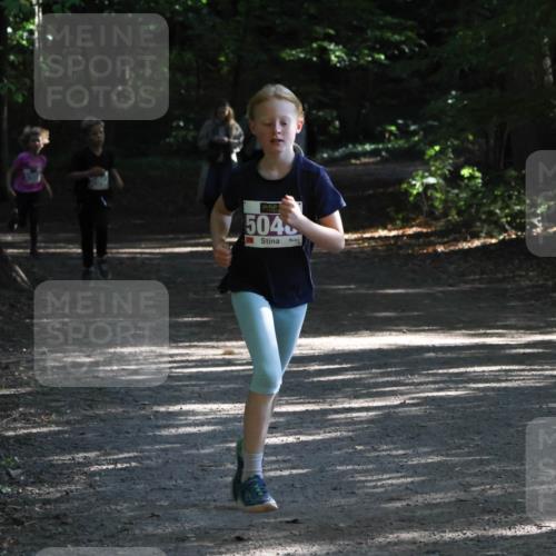 28.09.2025 - 33. Volkslauf durch das schöne Alstertal Strokosch-Dieckow http://msf.ph/oto/8967842 28.09.2025 10:44:52 Laufen 596, 504 meine-sportfotos.de
