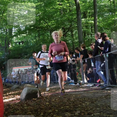 28.09.2025 - 33. Volkslauf durch das schöne Alstertal Strokosch-Dieckow http://msf.ph/oto/8967846 28.09.2025 11:46:02 Ziel 1008, 1564, 1578, 1589, 1601, 3073 meine-sportfotos.de