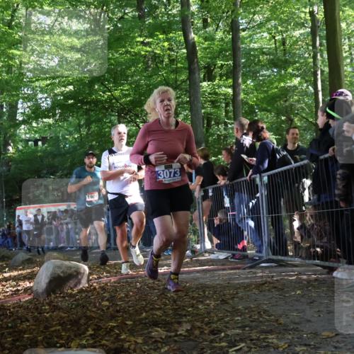 28.09.2025 - 33. Volkslauf durch das schöne Alstertal Strokosch-Dieckow http://msf.ph/oto/8967850 28.09.2025 11:46:02 Ziel 1008, 1564, 1578, 1589, 1601, 3073 meine-sportfotos.de